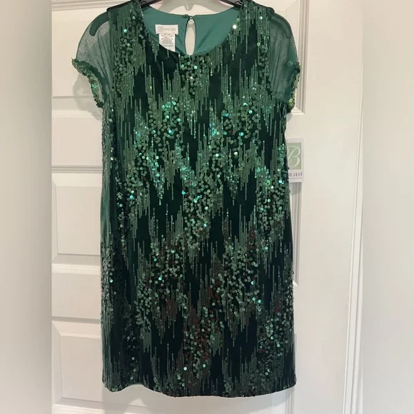 green emerald velvet dress Amazon.com: Baby Girls Emerald Taffeta Velvet Dress (2T) : Clothing, Shoes  & Jewelry